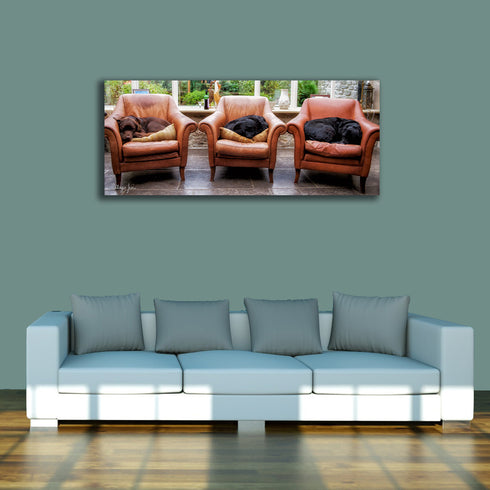 PANORAMIC - SORRY NO SEATING FOR ADULTS - 1.2m x 50cm